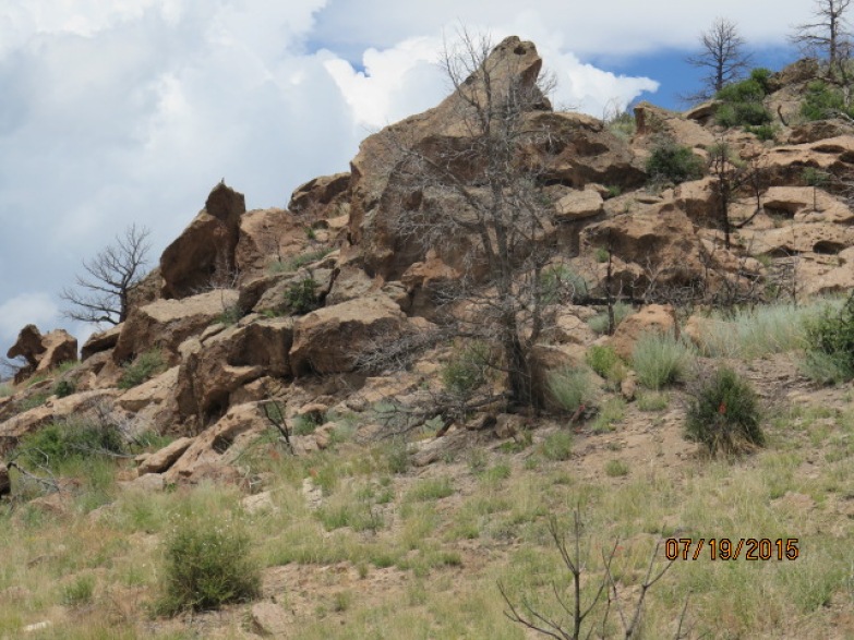 Climbing through NM Land Trust
